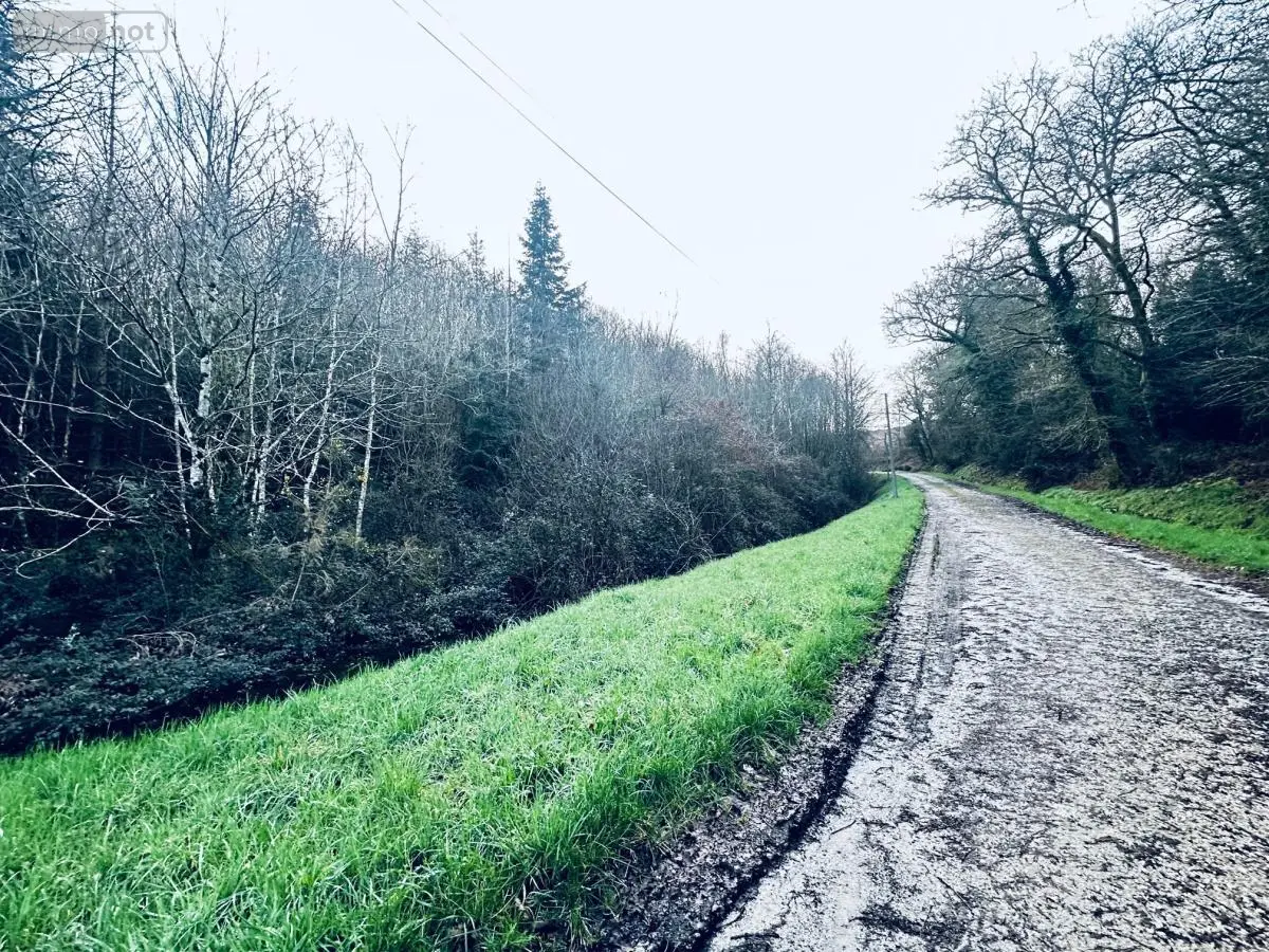 Terrains de loisirs bois etangs a vendre Arzano 29300 Finistère 29 58600 euros 56081-2263 001