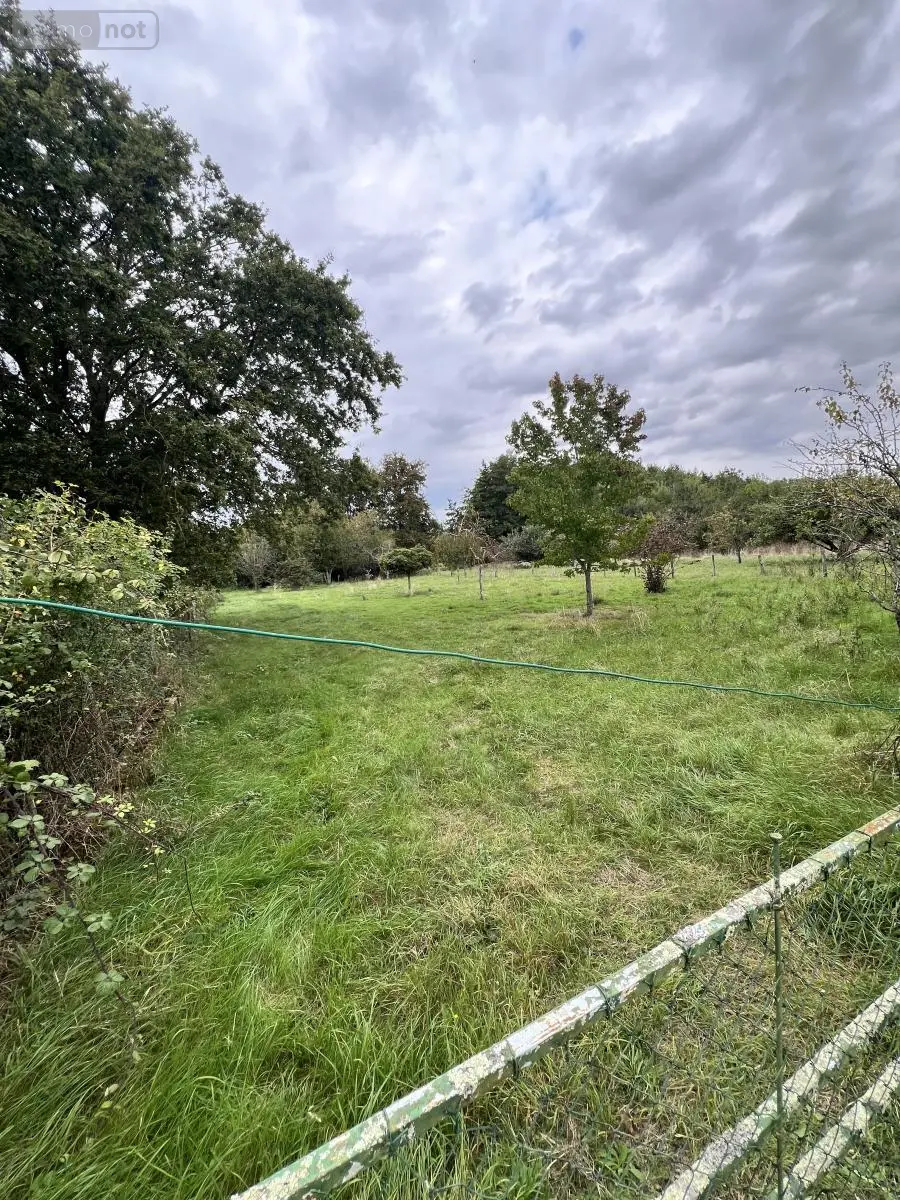 Terrains de loisirs bois etangs a vendre Lunay 41360 Loir-et-Cher 41 11800 euros 41059-924 001