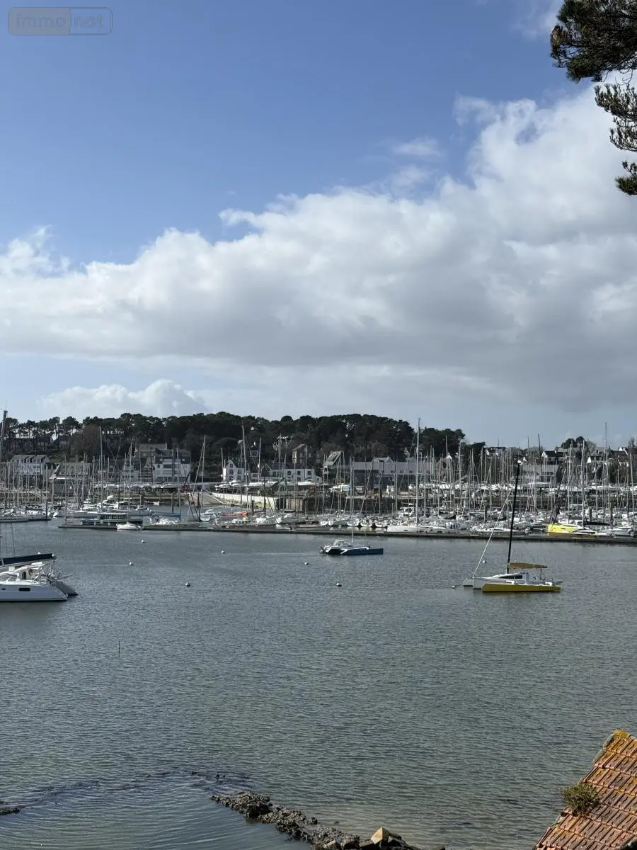 Viager maison La Trinité-sur-Mer 56470 Morbihan 56 205 m2 7 pièces 1200000 euros 56002-1504 001