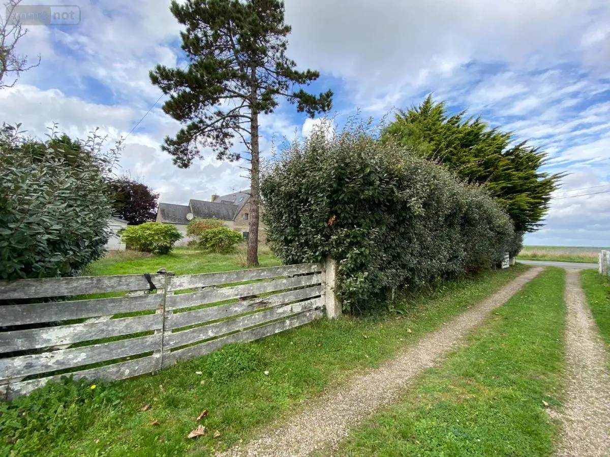Terrain a batir a vendre Réville 50760 Manche 50 434400 euros 50088-374 001