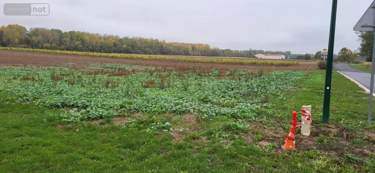 Terrain a batir a vendre Vouzy 51130 Marne 51 40000 euros 51011-135 001