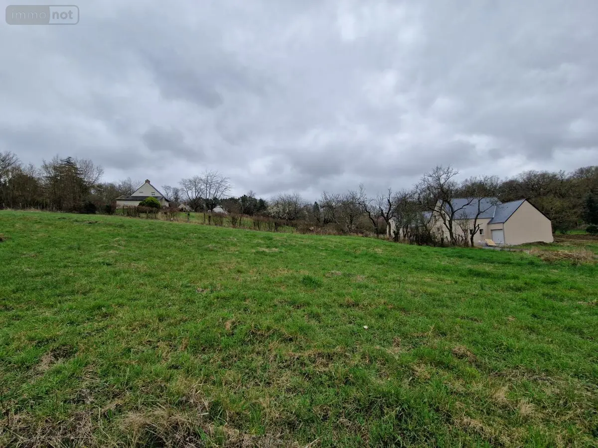 Terrain a batir a vendre Blaison-Saint-Sulpice 49320 Maine-et-Loire 49 65936 euros 49112-940 001