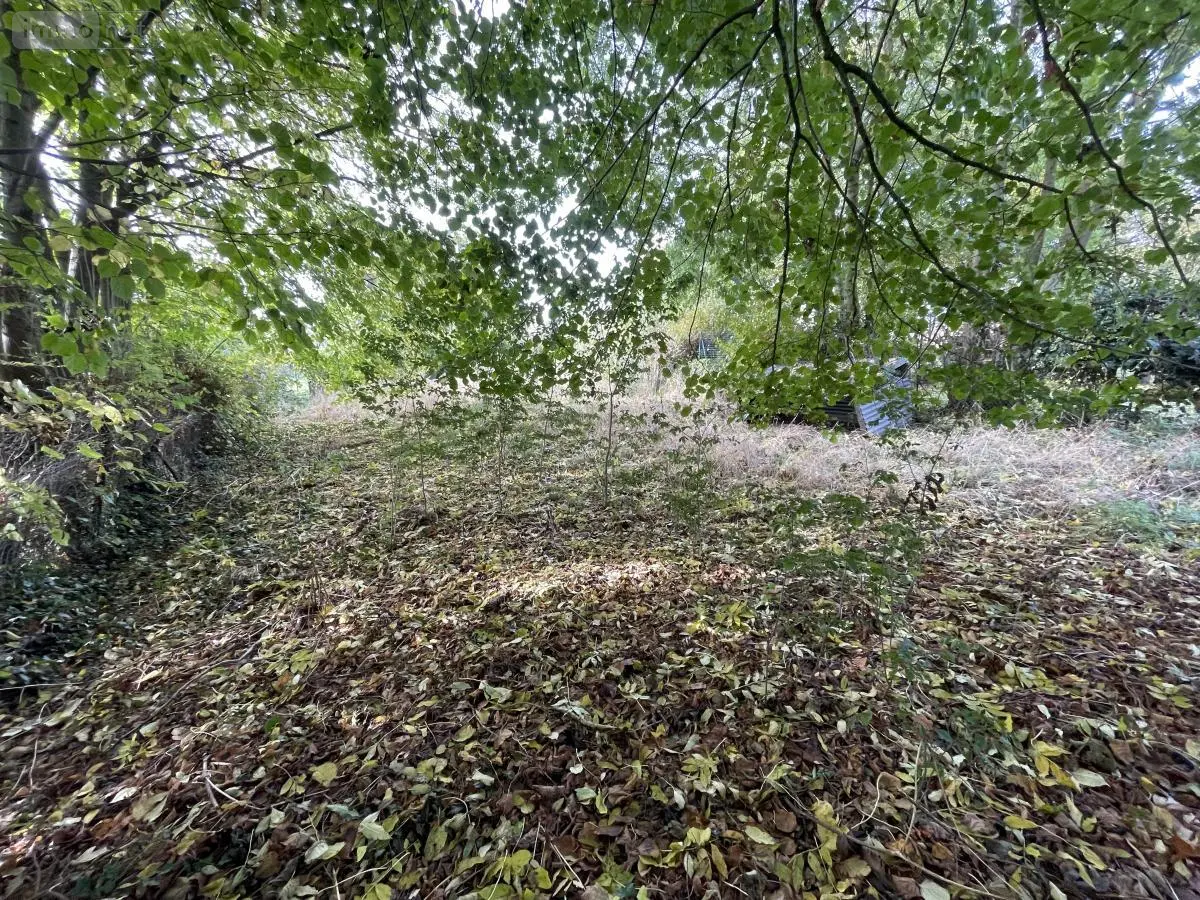 Terrain a batir a vendre Camps-en-Amiénois 80540 Somme 80 30000 euros 80004-1148 001
