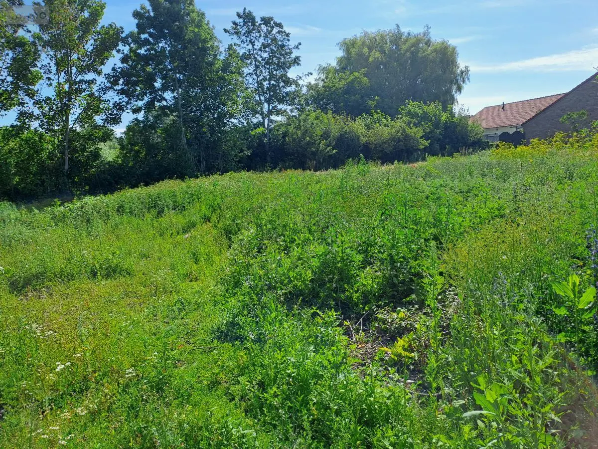 Terrain a batir a vendre Fréthun 62185 Pas-de-Calais 62 96480 euros 62098-2451 001