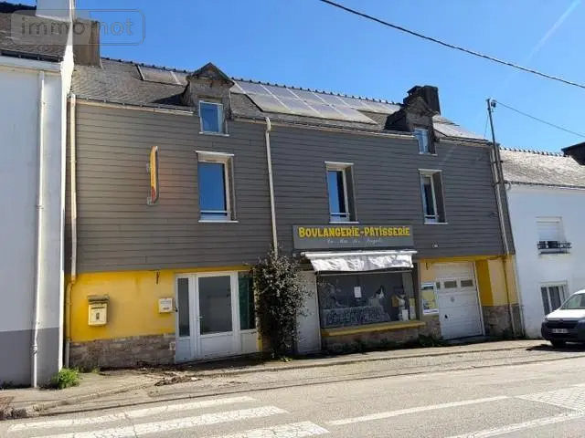 Maison a vendre Pluvigner 56330 Morbihan 56 147 m2 5 pièces 187920 euros 56064-1490 001