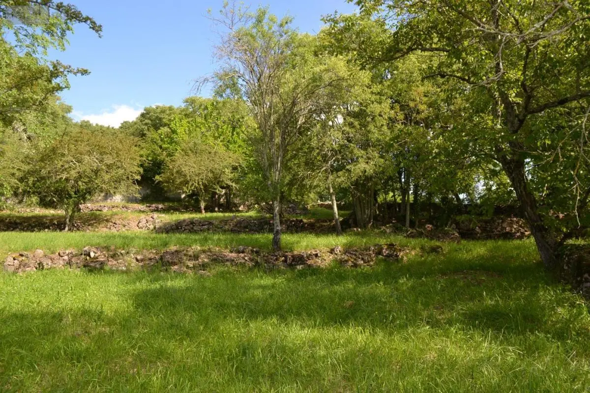 Terrain a batir a vendre Montréal 07110 Ardèche 07 82300 euros 07068-709 001