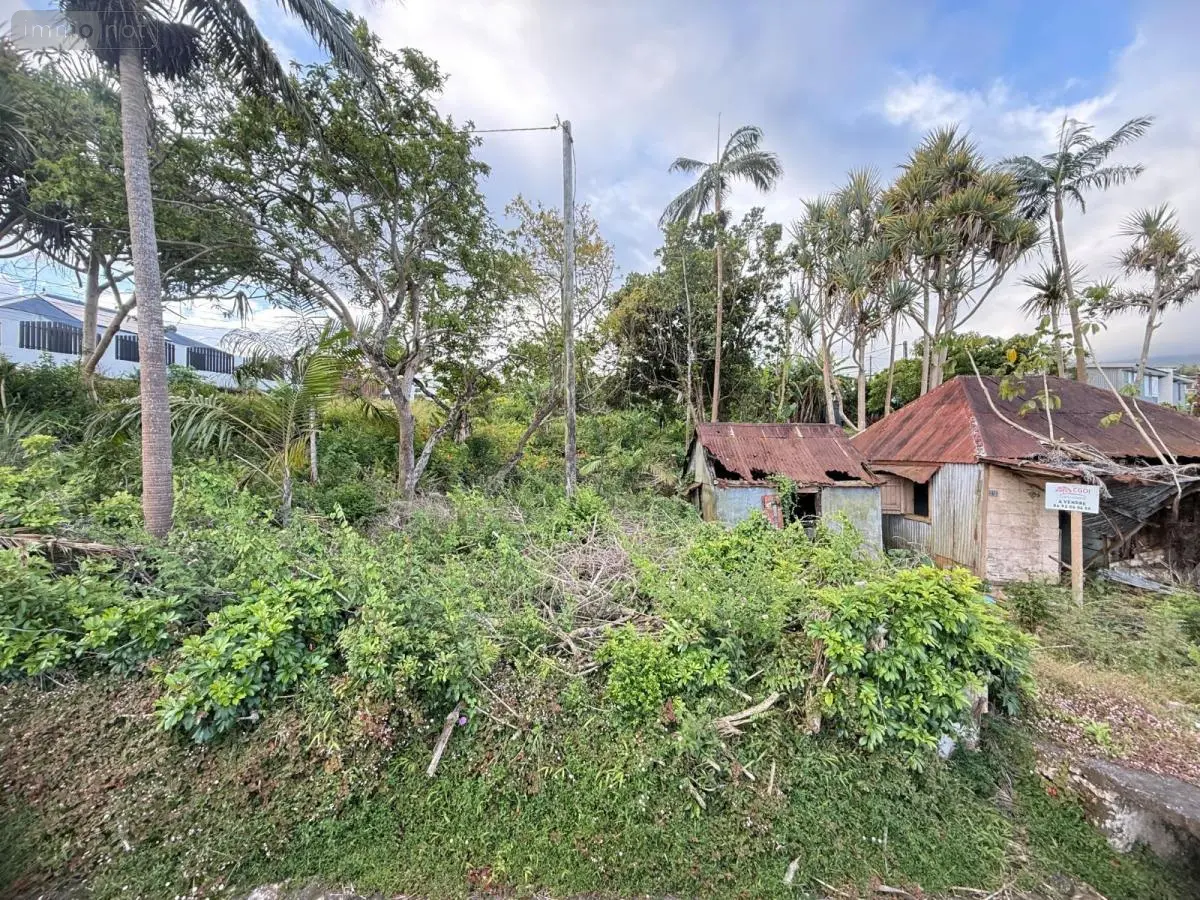 Terrain a batir a vendre Saint-Joseph 97480 La Réunion 974 151709 euros 97410-722 001