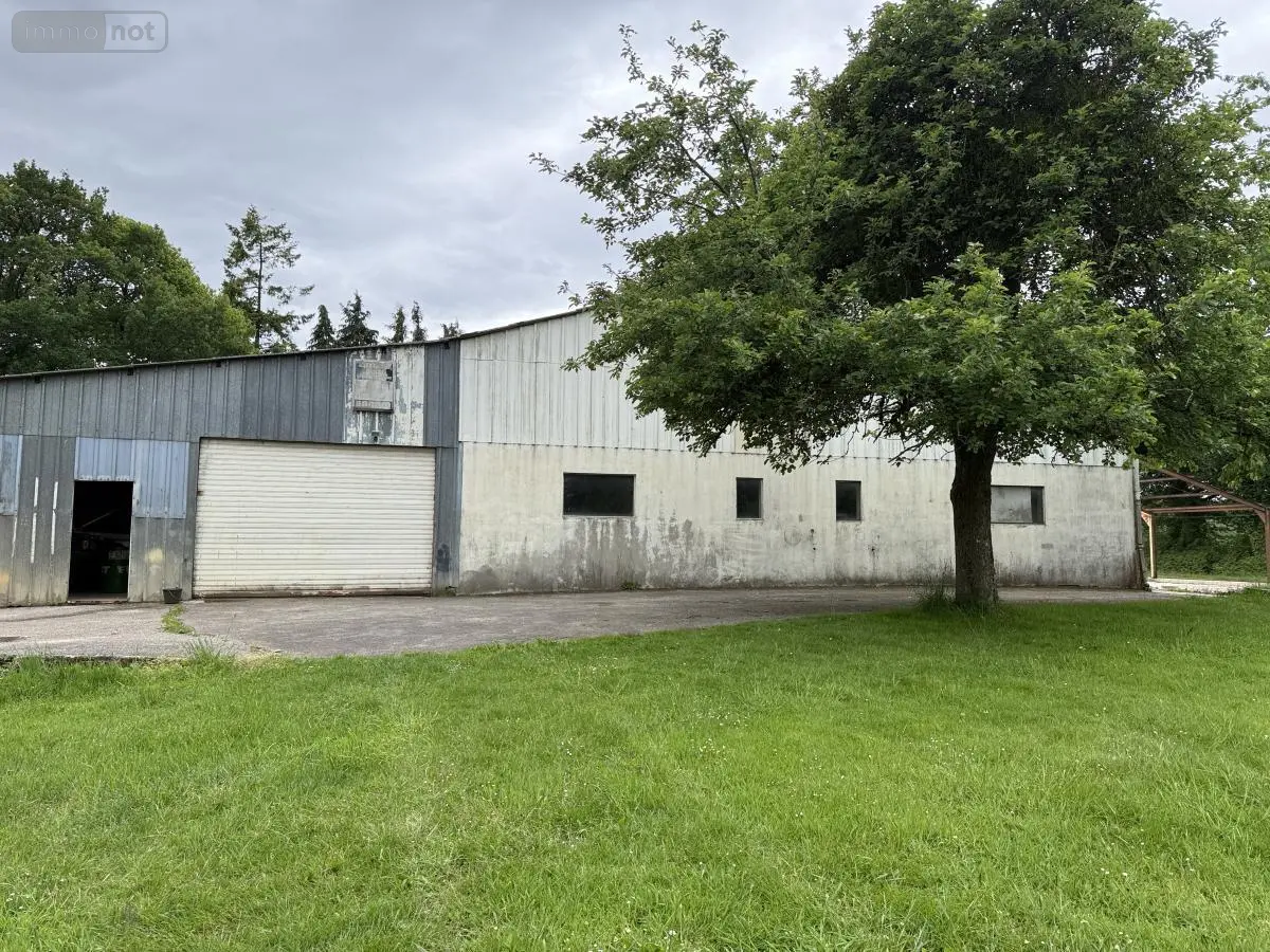 Immeuble de rapport a vendre Ménéac 56490 Morbihan 56 300 m2 74500 euros 22115-3567 001