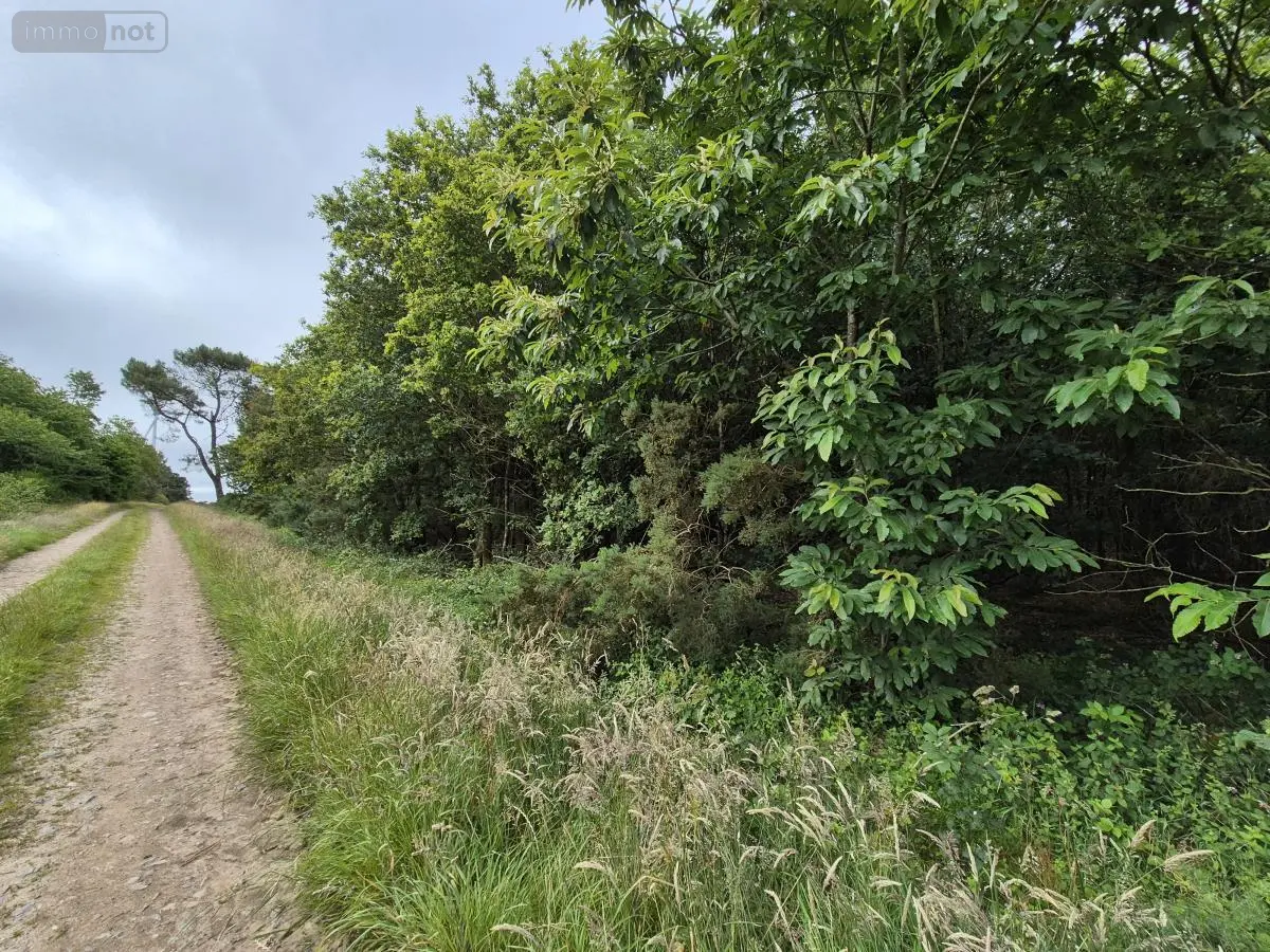 Terrains de loisirs bois etangs a vendre Saint-Servant 56120 Morbihan 56 11000 euros 56049-834 001
