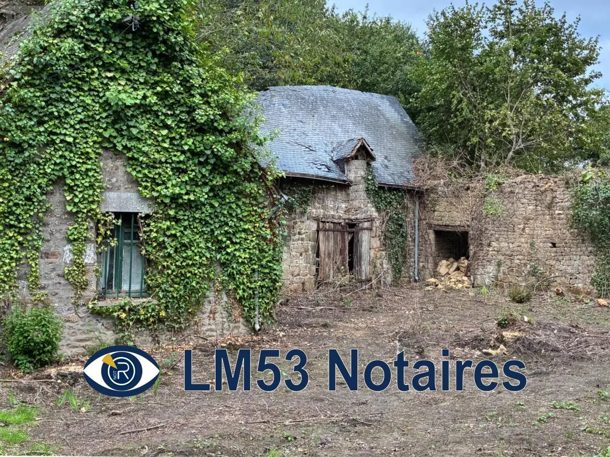 Terrains de loisirs bois etangs a vendre Montaudin 53220 Mayenne 53 13500 euros 53004-1253 001