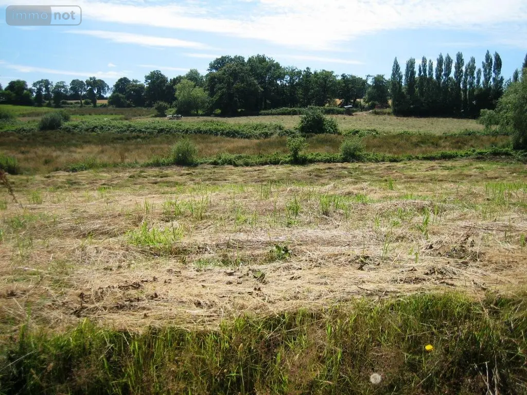 Terrain a batir a vendre Ploërdut 56160 Morbihan 56 24518 euros 56075-1980 001