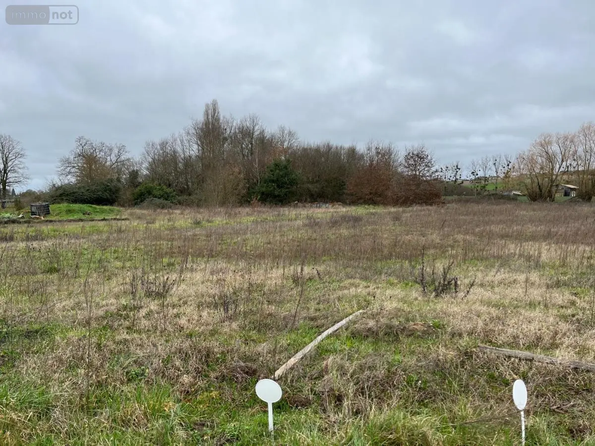 Terrain a batir a vendre Assay 37120 Indre-et-Loire 37 23100 euros 37060-2321 001