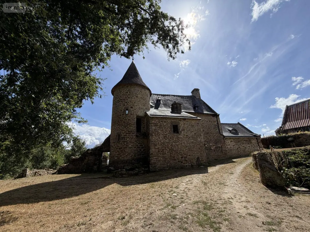 Maison a vendre Quistinic 56310 Morbihan 56 255 m2 10 pièces 985640 euros 56064-1531 001
