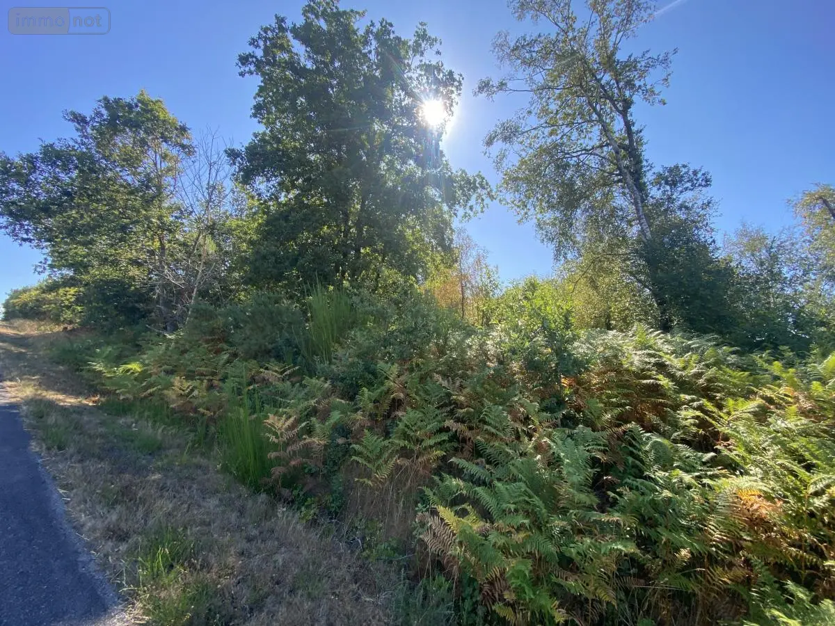 Terrains de loisirs bois etangs a vendre Billio 56420 Morbihan 56 7800 euros 56056-187 001