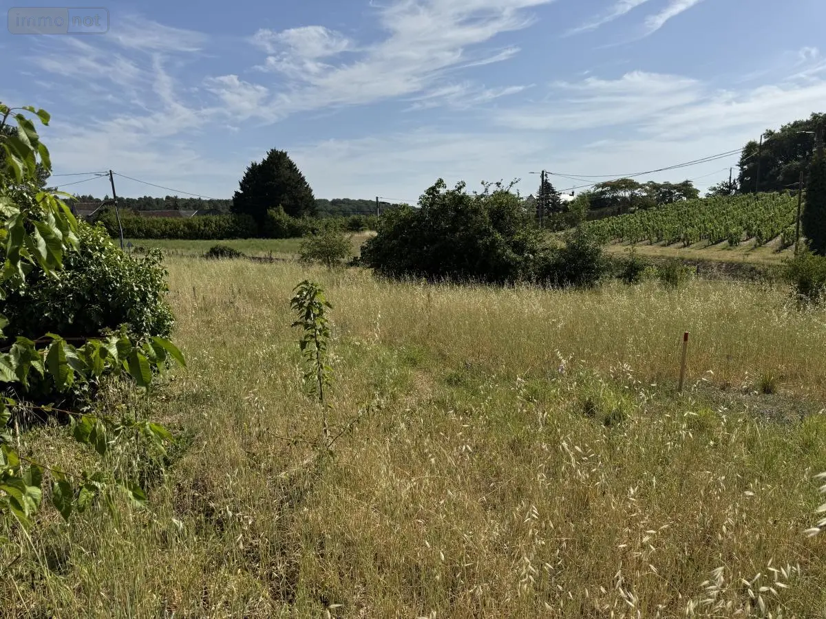 Terrain a batir a vendre Chinon 37500 Indre-et-Loire 37 55685 euros 37094-57 001
