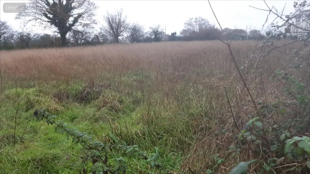Terrain a batir a vendre Scrignac 29640 Finistère 29 24500 euros 29066-989309 001