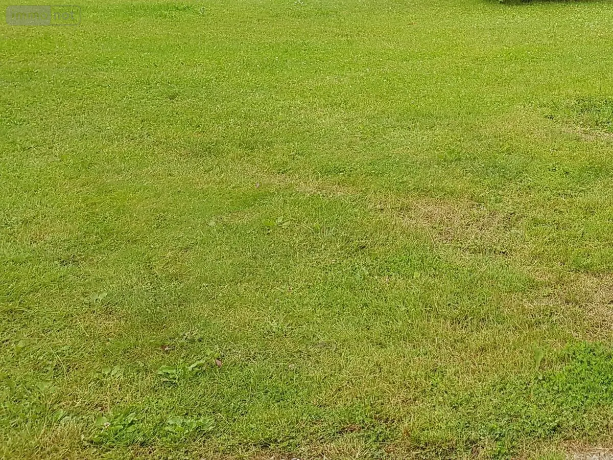 Terrain a batir a vendre Dontrien 51490 Marne 51 53000 euros 51010-295 001