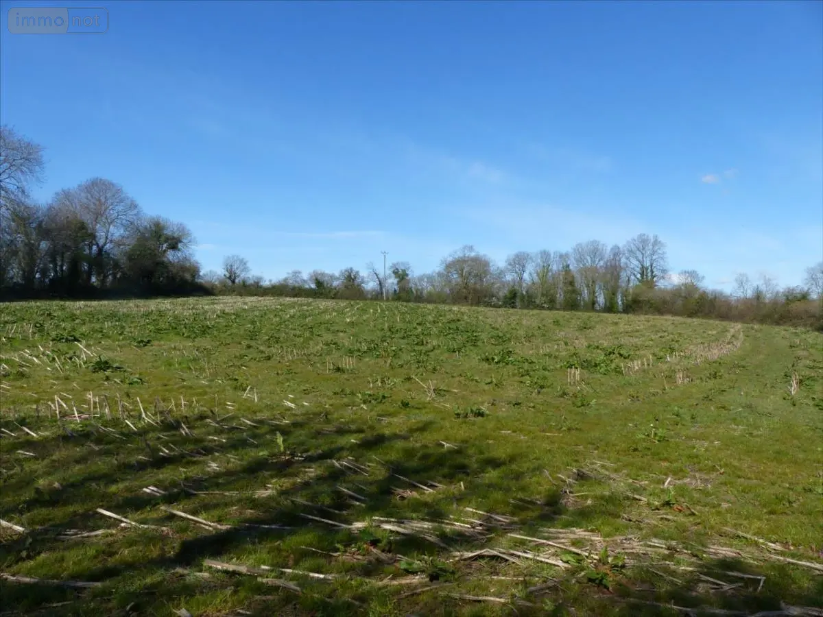 Terrain a batir a vendre Mobecq 50250 Manche 50 57698 euros 50061-999730 001