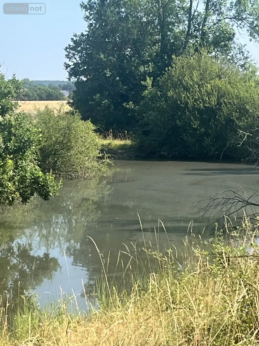 Terrains de loisirs bois etangs a vendre Parçay-sur-Vienne 37220 Indre-et-Loire 37 17100 euros 37060-2365 001