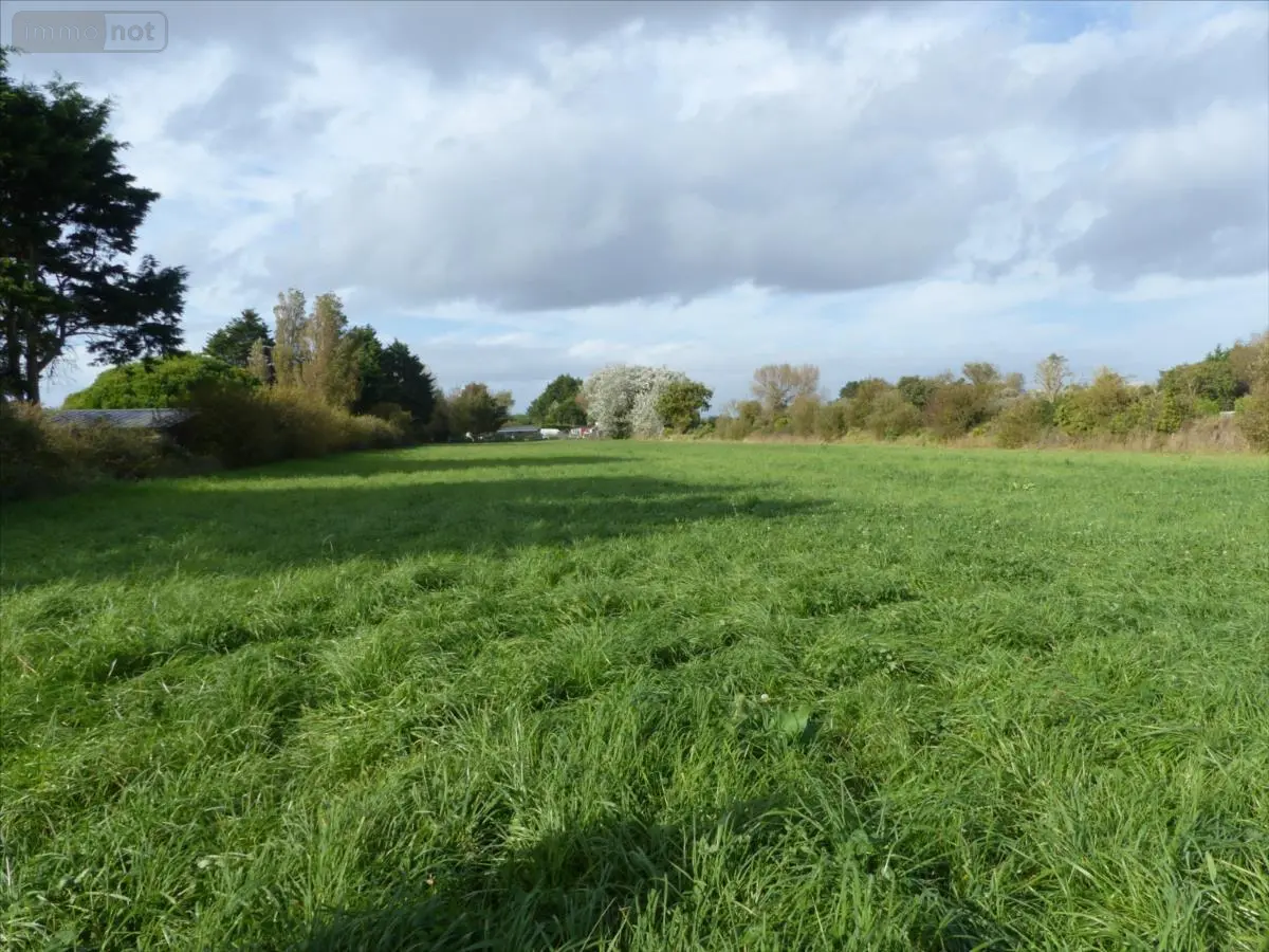 Terrains de loisirs bois etangs a vendre La Haye 50250 Manche 50 32160 euros 50061-1028508 001