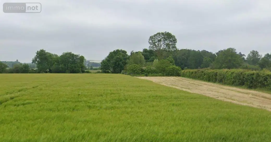 Terrains de loisirs bois etangs a vendre Chaveignes 37120 Indre-et-Loire 37 14000 euros 37067-1062033 001