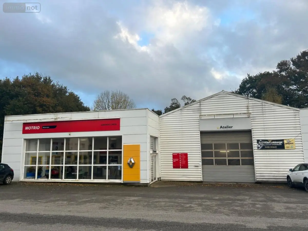 Fonds et murs commerciaux a vendre Spézet 29540 Finistère 29 565 m2 262500 euros 29064-2801 001