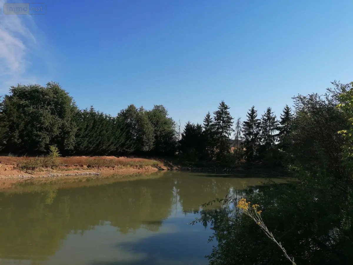 Terrains de loisirs bois etangs a vendre Barrou 37350 Indre-et-Loire 37 17850 euros 37082-314 001