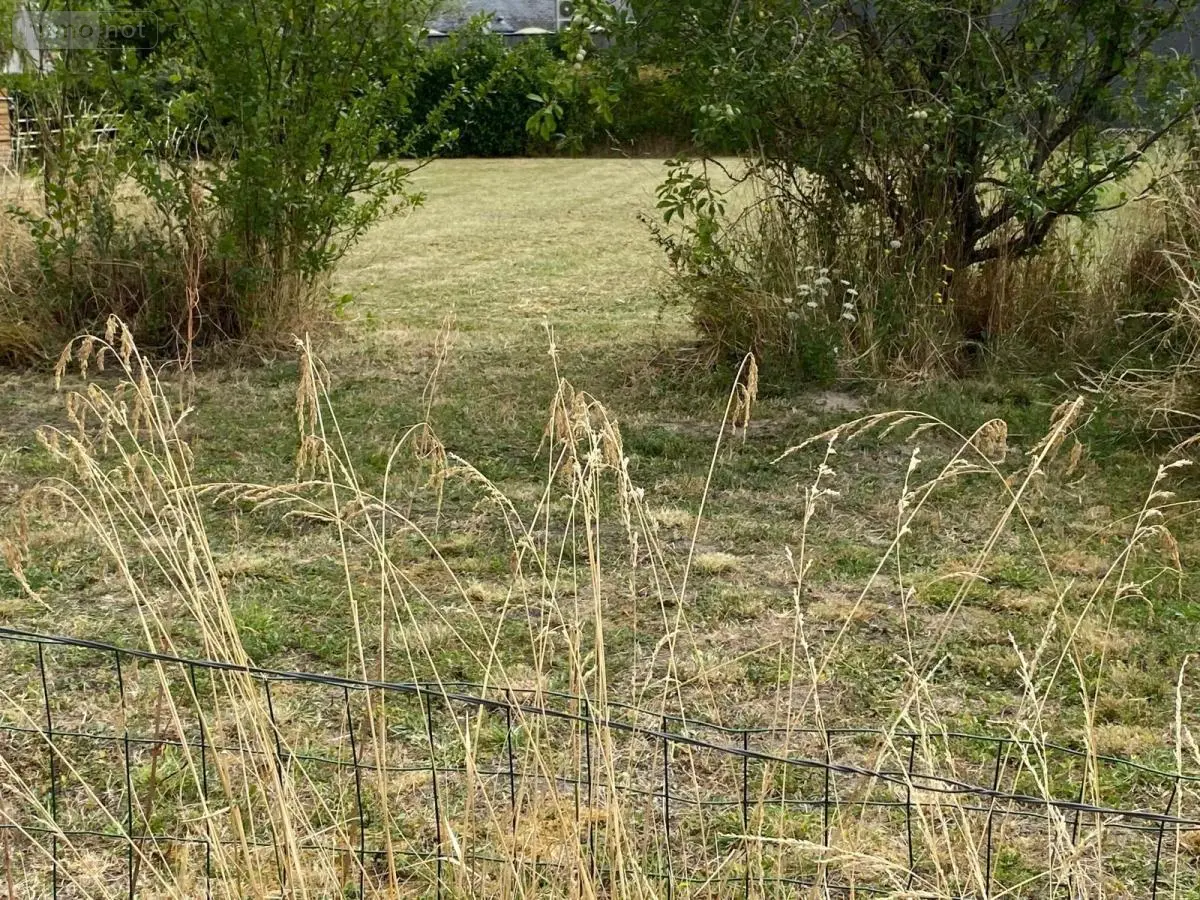 Terrain a batir a vendre Bossée 37240 Indre-et-Loire 37 39900 euros 37082-258 001