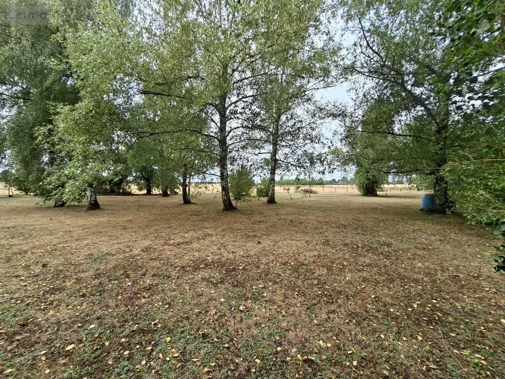 Terrain a batir a vendre Artannes-sur-Indre 37260 Indre-et-Loire 37 142400 euros 37125-58 001