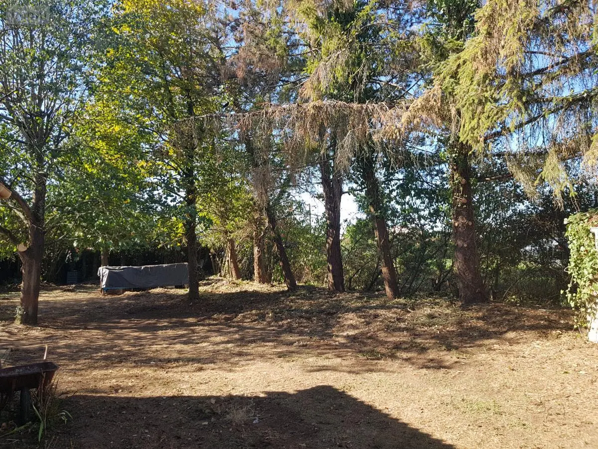 Terrain a batir a vendre Le Pallet 44330 Loire-Atlantique 44 98440 euros 44042-112 001