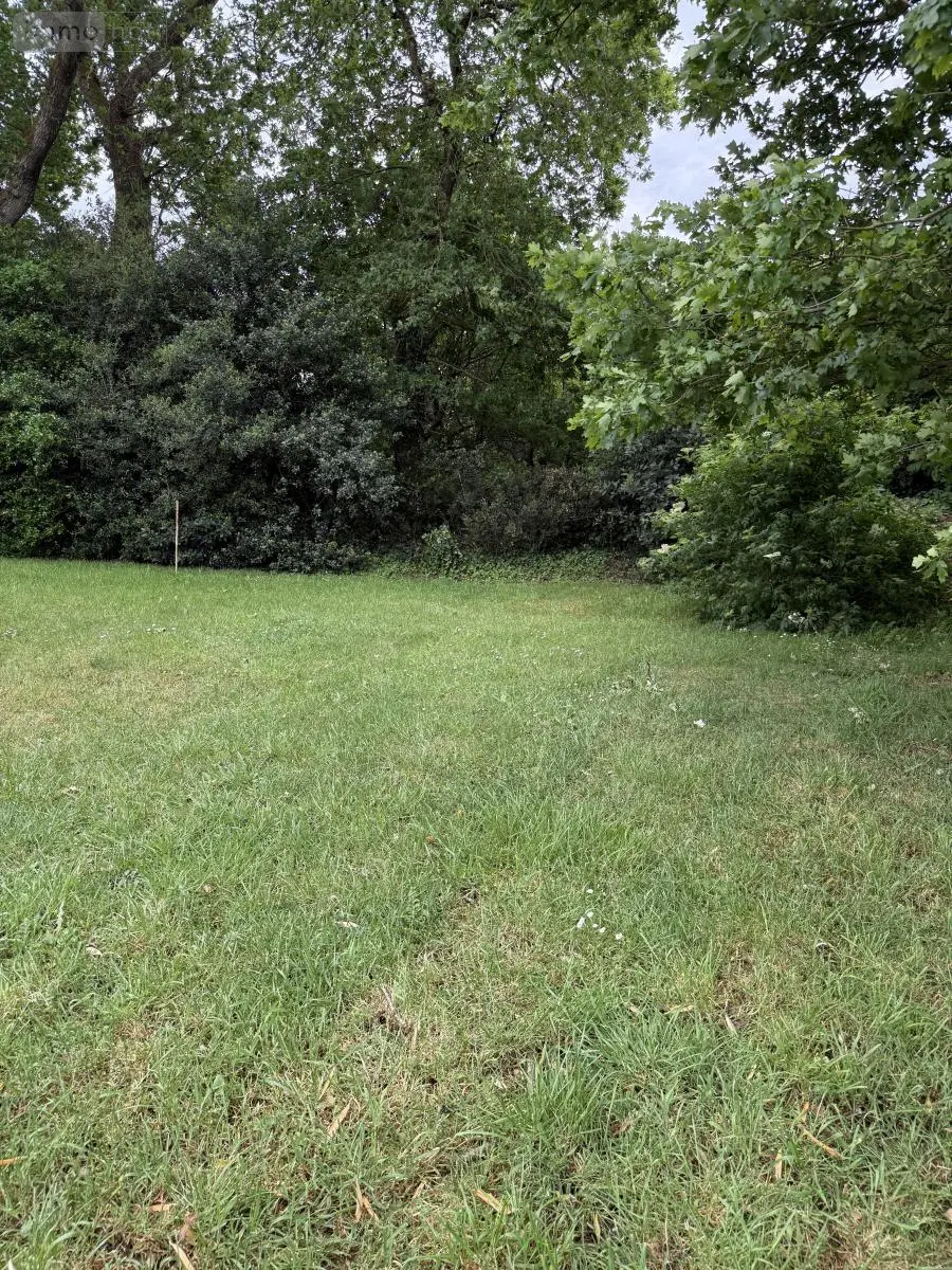 Terrain a batir a vendre Île-aux-Moines 56780 Morbihan 56 280700 euros 56002-1597 001