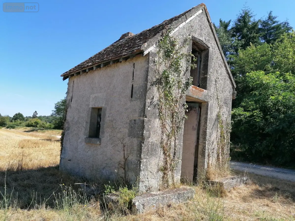 Terrains de loisirs bois etangs a vendre Abilly 37160 Indre-et-Loire 37 6500 euros 37082-315 001