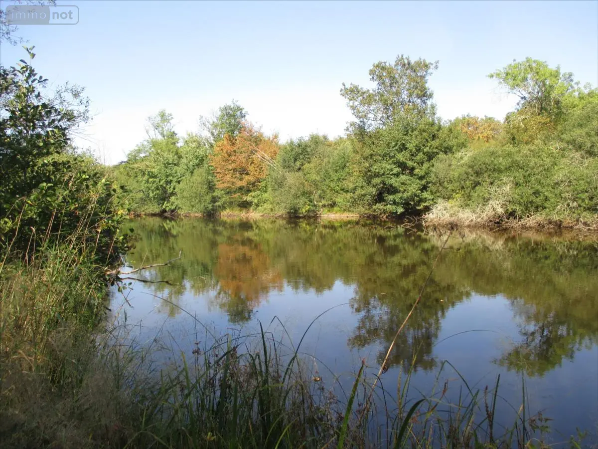 Terrains de loisirs bois etangs a vendre Fleurey-lès-Faverney 70160 Haute-Saône 70 97000 euros CP/E44 001