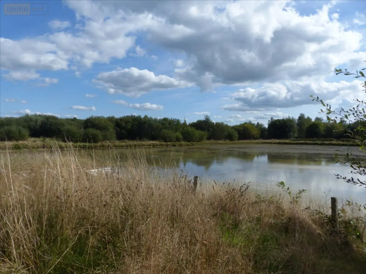 Terrains de loisirs bois etangs a vendre Pirou 50770 Manche 50 189600 euros 50061-1061768 001