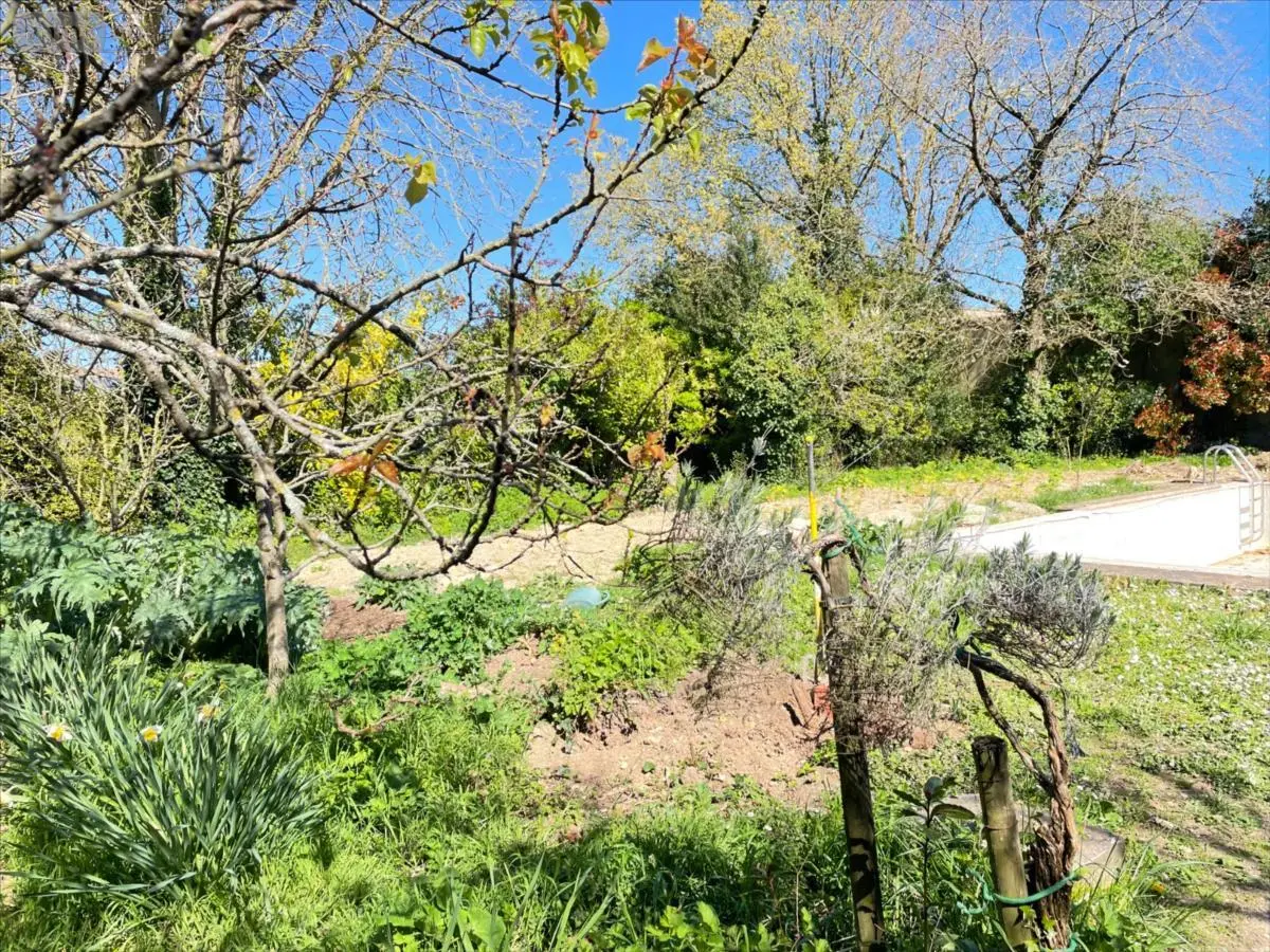Terrain a batir a vendre Bourgneuf 17220 Charente-Maritime 17 249600 euros 17112-375 001