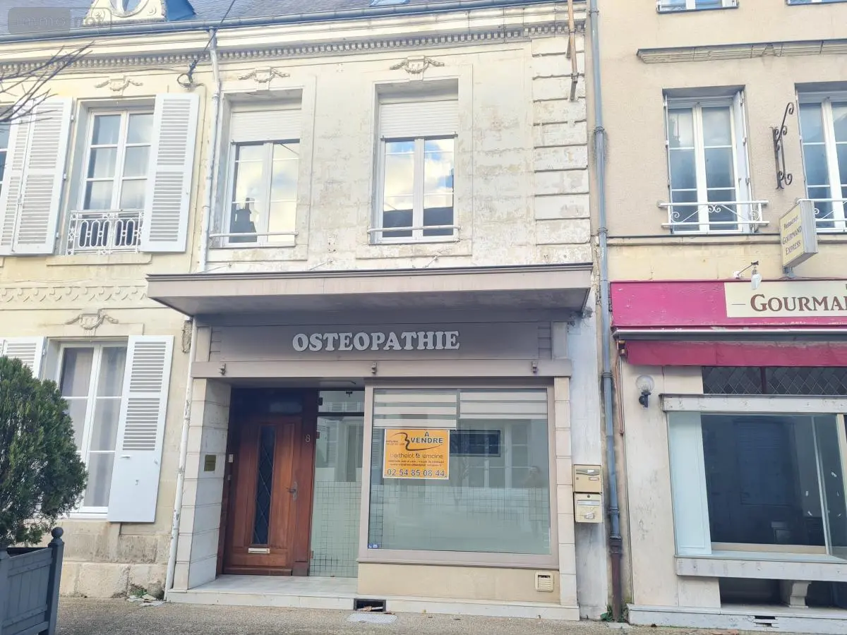 Immeuble de rapport a vendre Montoire-sur-le-Loir 41800 Loir-et-Cher 41 100 m2 99800 euros 41059-940 001
