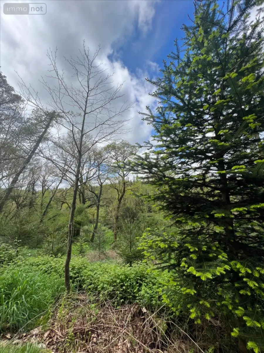 Terrains de loisirs bois etangs a vendre Châteauneuf-du-Faou 29520 Finistère 29 85600 euros 29060-1080156 001