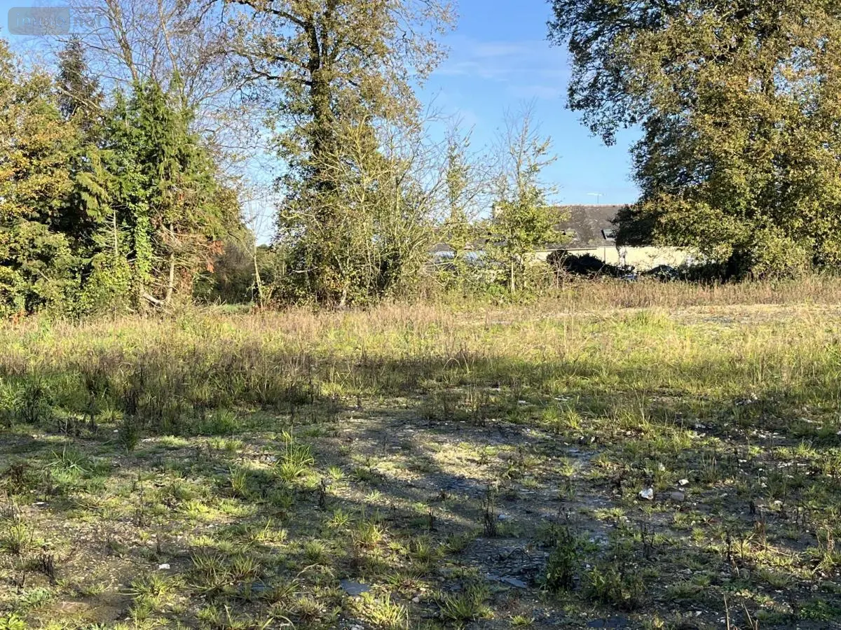 Terrain a batir a vendre Ploërmel 56800 Morbihan 56 64328 euros 56044-1505 001