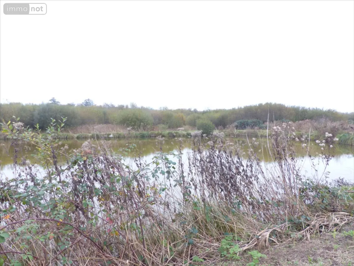 Terrains de loisirs bois etangs a vendre Pirou 50770 Manche 50 74320 euros OffLine 001