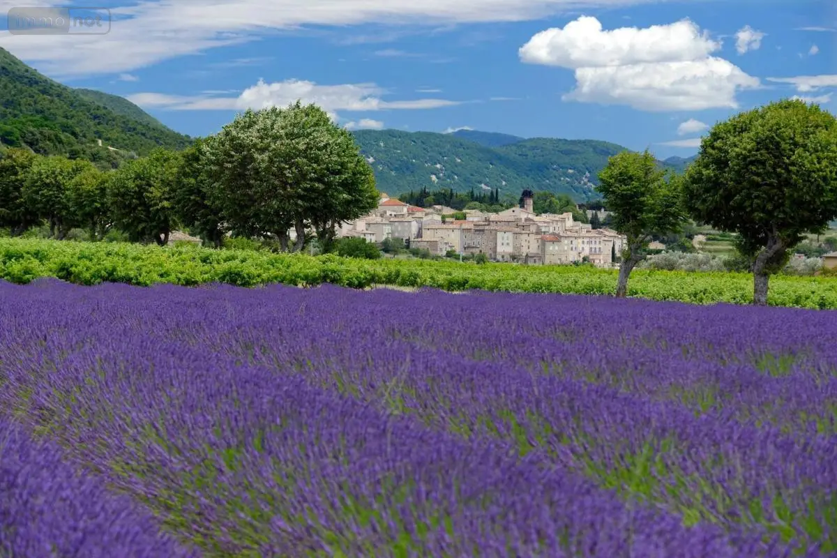 Fonds et murs commerciaux a vendre Montélimar 26200 Drôme 26 800 m2 1100000 euros 26060-749 001