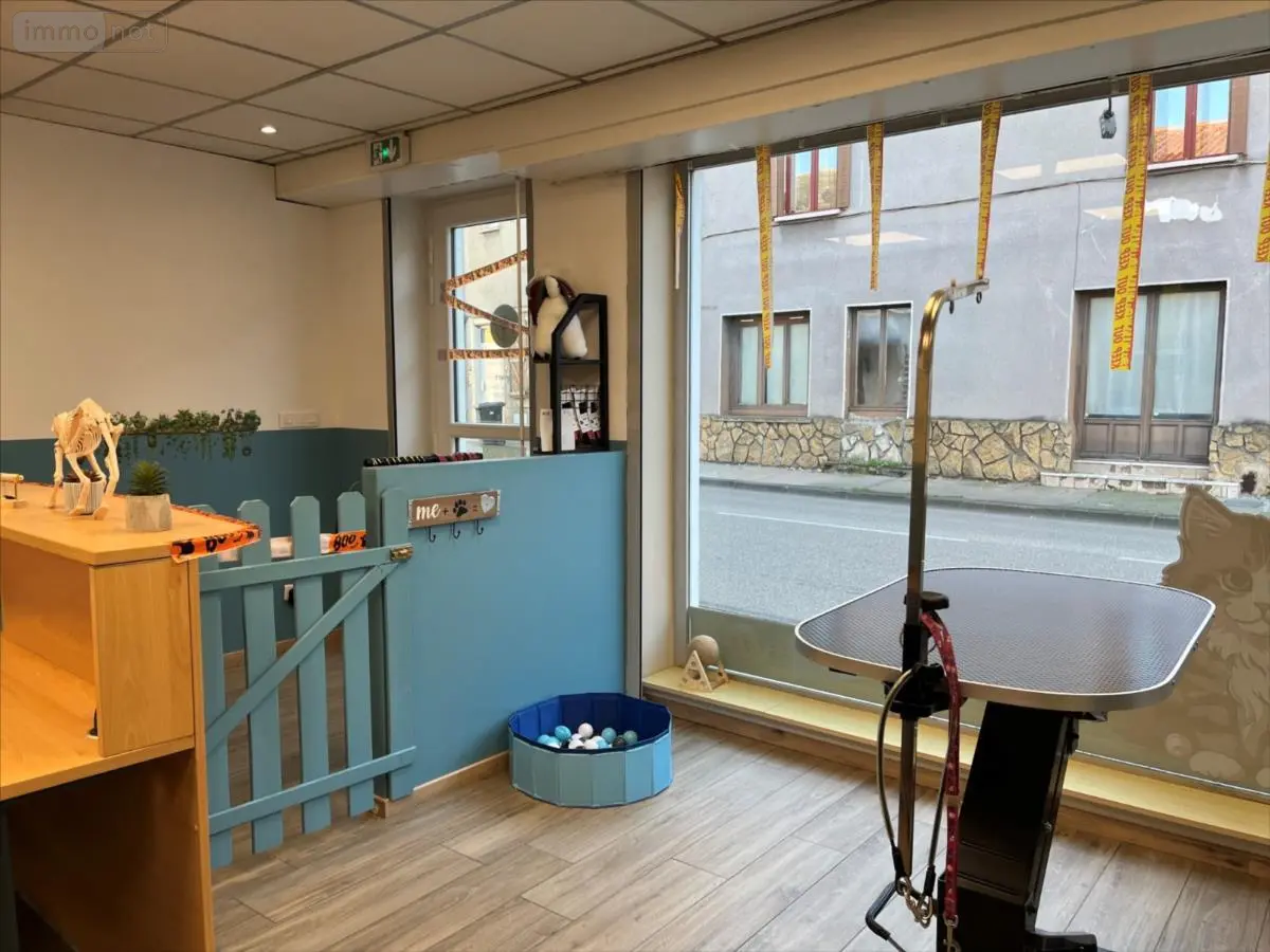 Fonds et murs commerciaux a vendre Miribel 01700 Ain 01 45 m2 3 pièces 139500 euros 01070-1089693 001