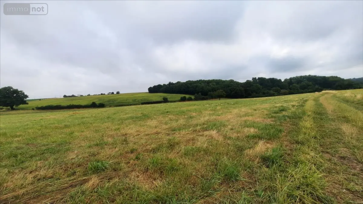 Bien agricole a vendre Luçay-le-Mâle 36360 Indre 36 119900 euros 021/1550 001