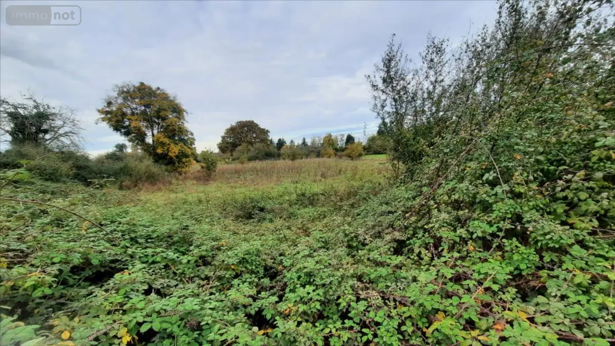 Terrain a batir a vendre Luçay-le-Mâle 36360 Indre 36 14400 euros 021/1561 001