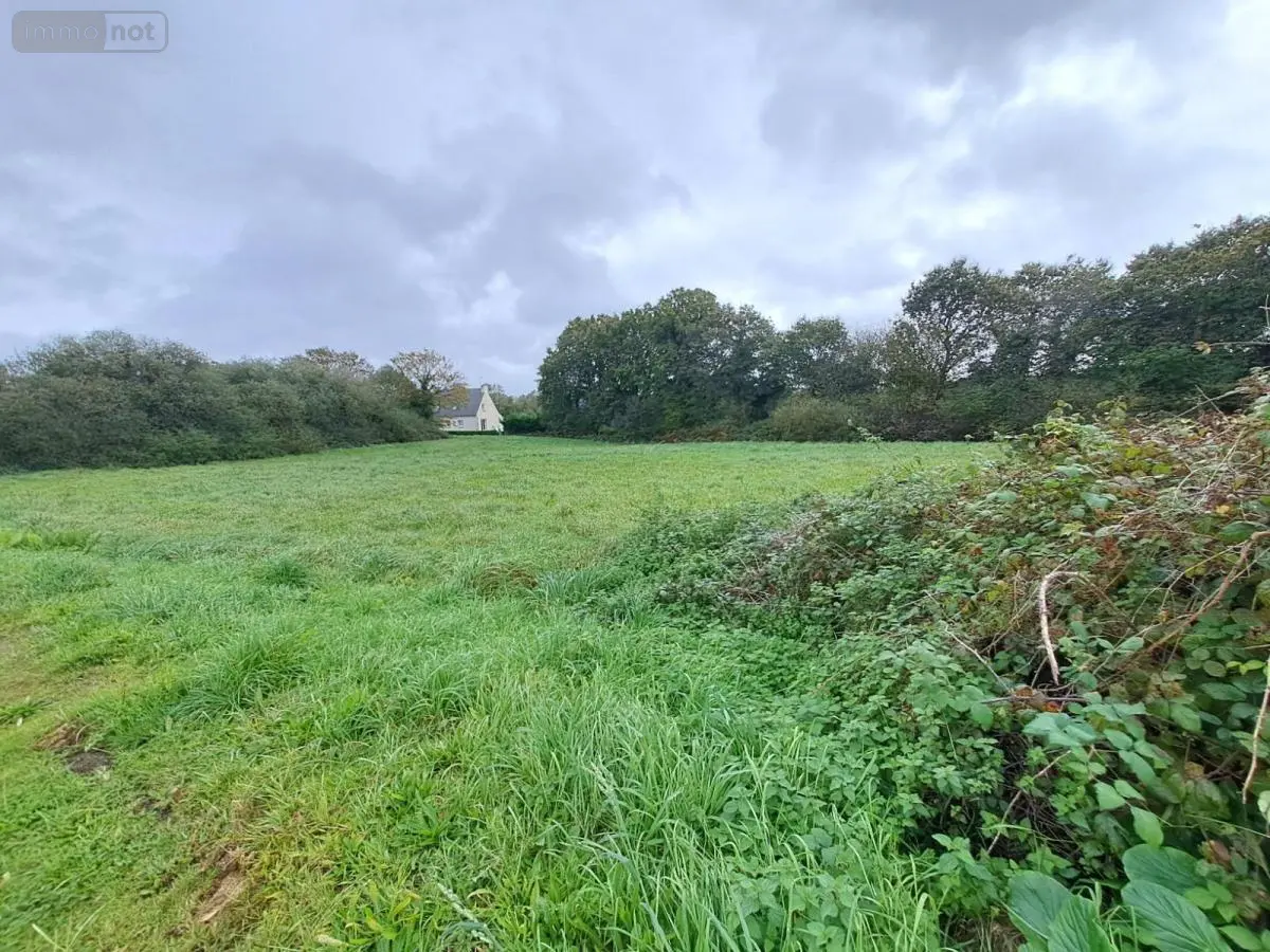 Terrain a batir a vendre Scrignac 29640 Finistère 29 27500 euros 29064-2760 001