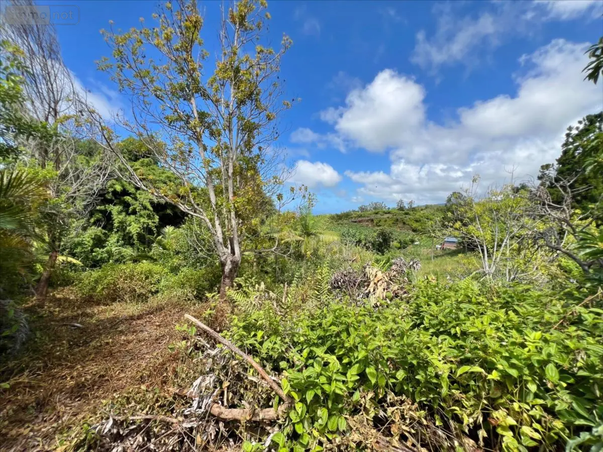 Terrain a batir a vendre Saint-Joseph 97480 La Réunion 974 86000 euros 28583 001