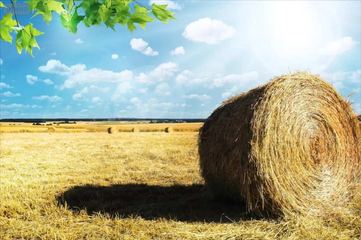 Bien agricole a vendre Aize 36150 Indre 36 817950 euros 021/1599 001