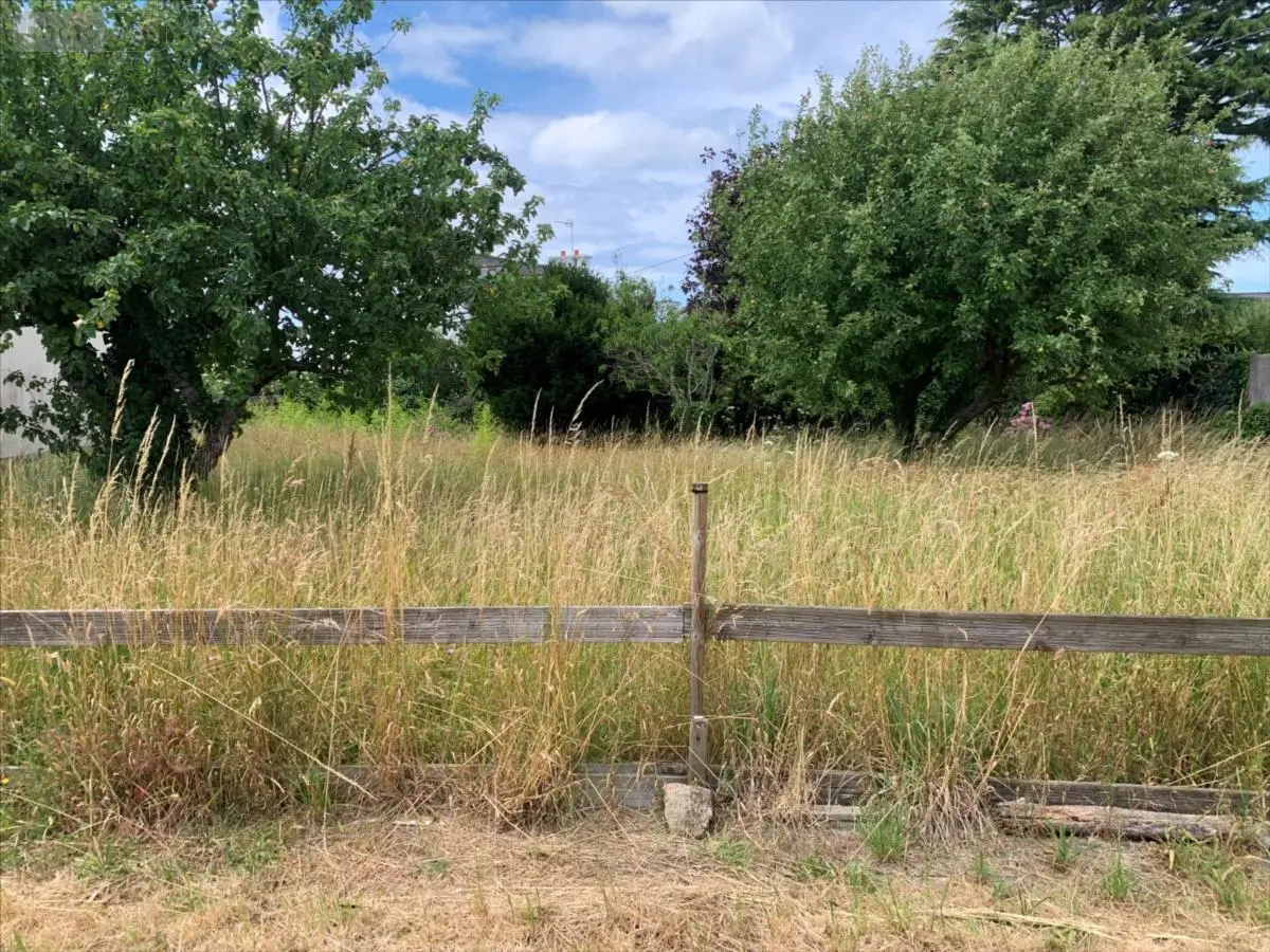 Terrain a batir a vendre Carantec 29660 Finistère 29 126027 euros 29111-1090365 001