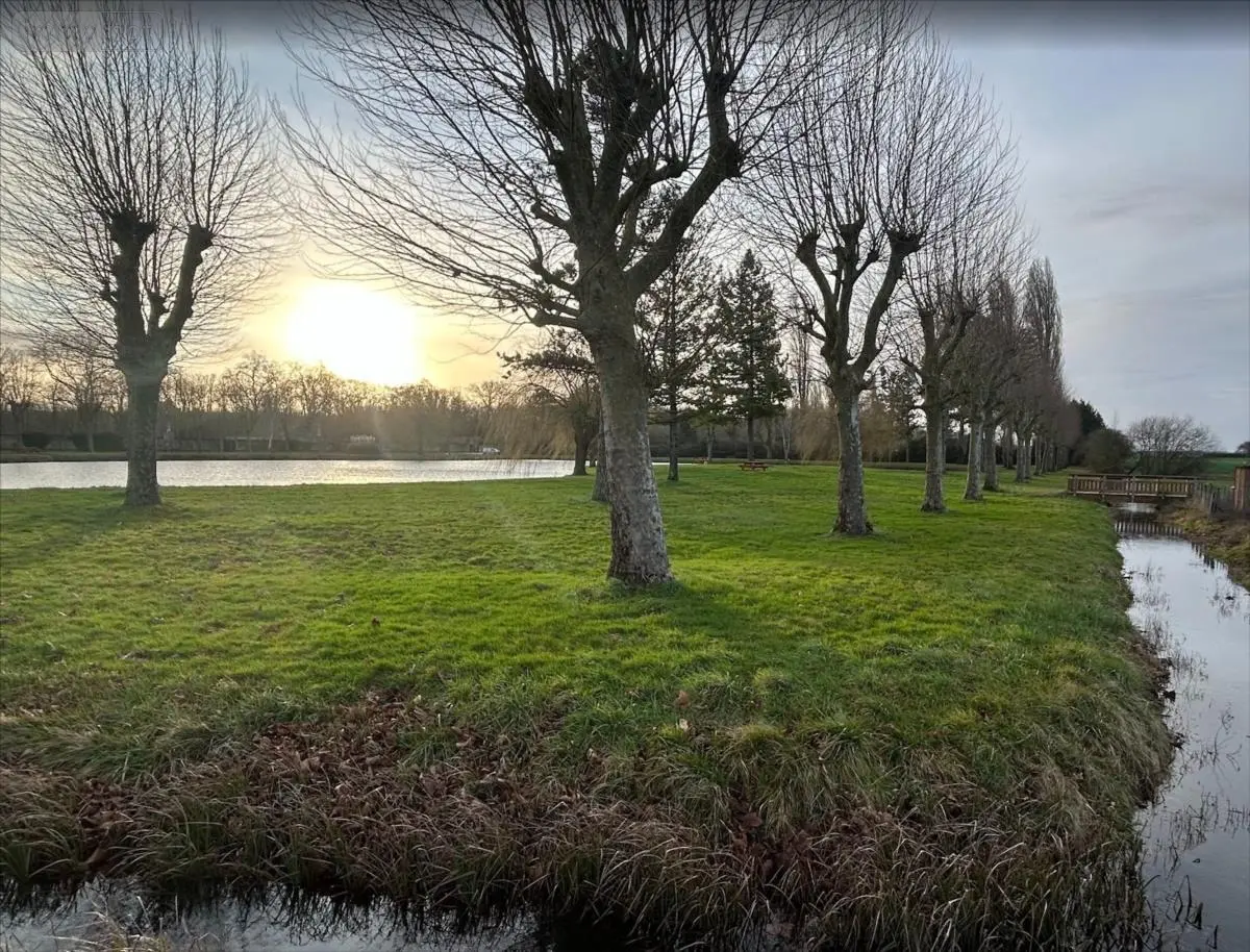 Terrains de loisirs bois etangs a vendre Richelieu 37120 Indre-et-Loire 37 4100 euros 37067-1092628 001