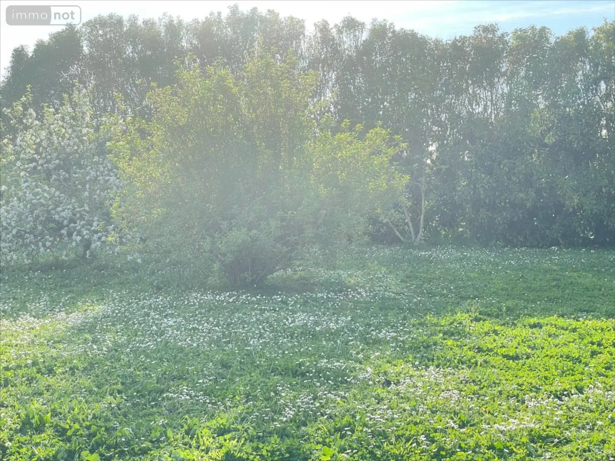Terrain a batir a vendre Montroy 17220 Charente-Maritime 17 105000 euros 17112-423 001