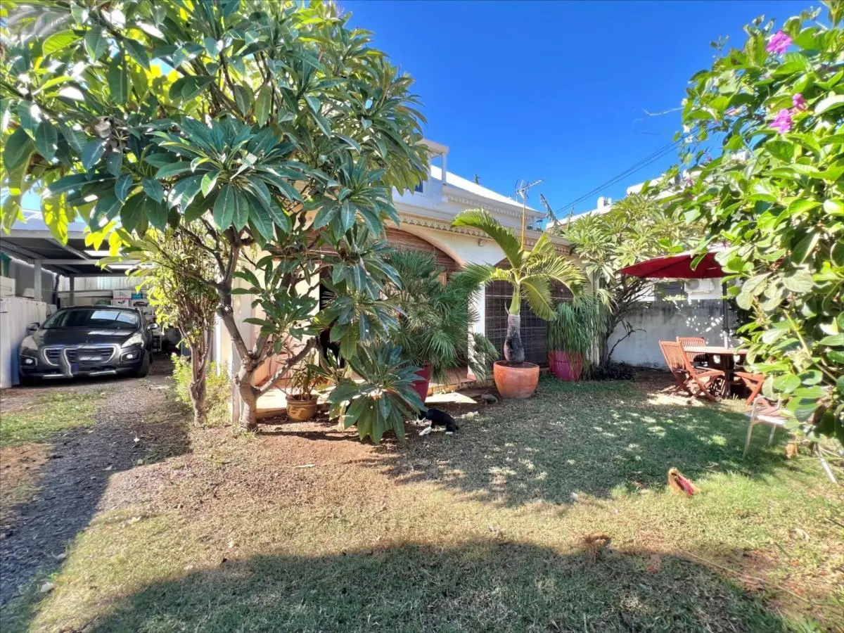 Immeuble de rapport a vendre Saint-Pierre 97410 La Réunion 974 134 m2 320000 euros 41168 001